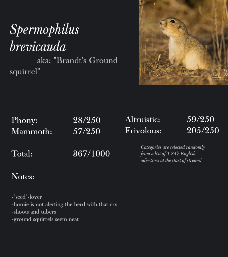 Spermophilus brevicauda